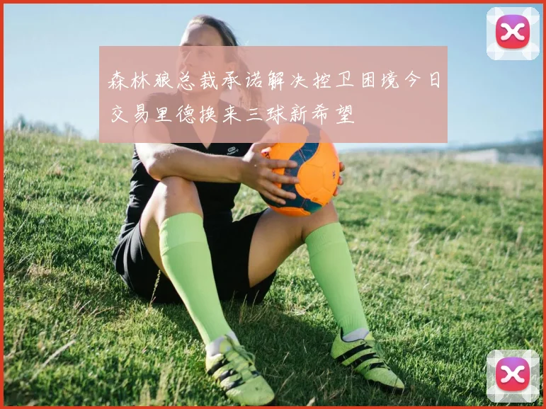 森林狼总裁承诺解决控卫困境今日交易里德换来三球新希望