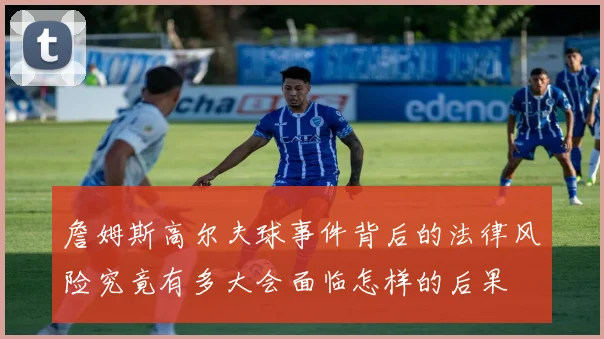 詹姆斯高尔夫球事件背后的法律风险究竟有多大会面临怎样的后果