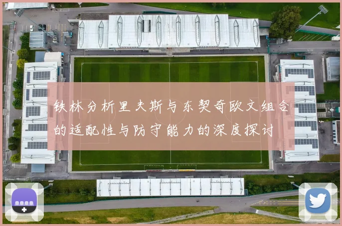 铁林分析里夫斯与东契奇欧文组合的适配性与防守能力的深度探讨