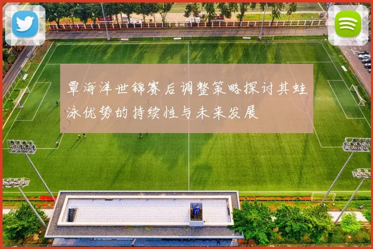 覃海洋世锦赛后调整策略探讨其蛙泳优势的持续性与未来发展