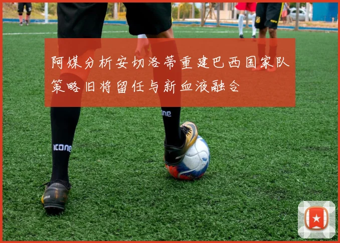 阿媒分析安切洛蒂重建巴西国家队策略旧将留任与新血液融合